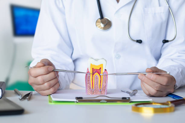 Best Emergency Orthodontic Repairs in Valley Center, KS
